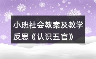 小班社會教案及教學反思《認識五官》