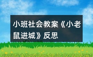 小班社會教案《小老鼠進(jìn)城》反思