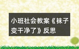 小班社會教案《襪子變干凈了》反思