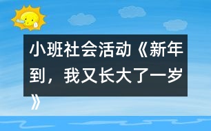 小班社會活動《新年到，我又長大了一歲》教學(xué)設(shè)計反思