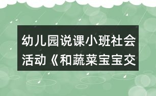 幼兒園說課小班社會活動《和蔬菜寶寶交朋友》反思