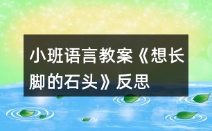 小班語言教案《想長(zhǎng)腳的石頭》反思