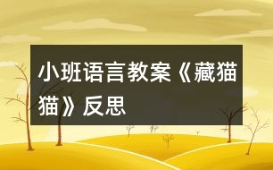 小班語(yǔ)言教案《藏貓貓》反思