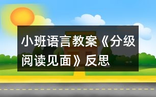 小班語(yǔ)言教案《分級(jí)閱讀見(jiàn)面》反思