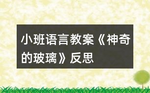 小班語言教案《神奇的玻璃》反思