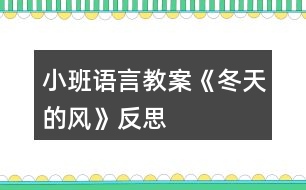 小班語(yǔ)言教案《冬天的風(fēng)》反思