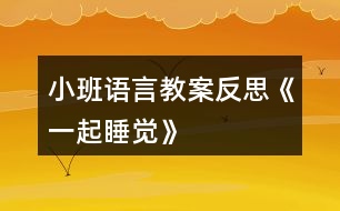 小班語(yǔ)言教案反思《一起睡覺(jué)》