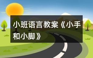 小班語言教案《小手和小腳》