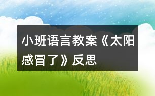 小班語言教案《太陽感冒了》反思