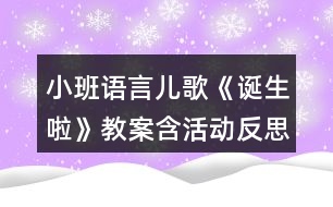 小班語(yǔ)言兒歌《誕生啦》教案含活動(dòng)反思