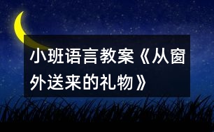 小班語言教案《從窗外送來的禮物》