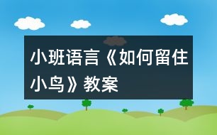 小班語言《如何留住小鳥》教案