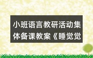 小班語言教研活動集體備課教案《睡覺覺》反思