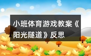 小班體育游戲教案《陽光隧道》反思