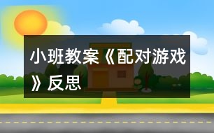 小班教案《配對(duì)游戲》反思