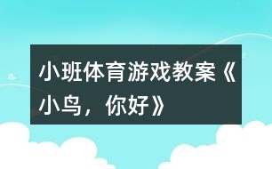 小班體育游戲教案《小鳥，你好》