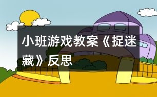 小班游戲教案《捉迷藏》反思