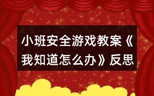 小班安全游戲教案《我知道怎么辦》反思