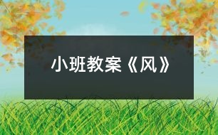 小班教案《風(fēng)》