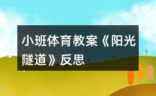 小班體育教案《陽光隧道》反思