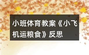 小班體育教案《小飛機(jī)運(yùn)糧食》反思