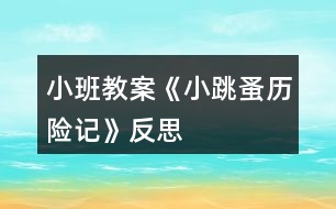 小班教案《小跳蚤歷險(xiǎn)記》反思