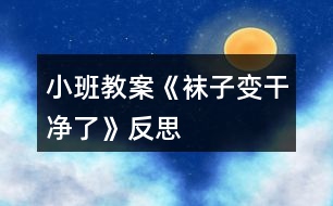 小班教案《襪子變干凈了》反思