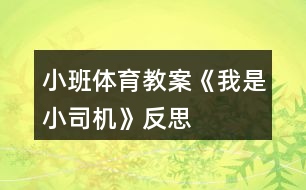 小班體育教案《我是小司機》反思