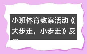 小班體育教案活動《大步走，小步走》反思