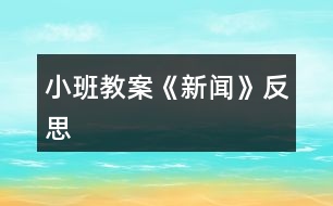 小班教案《新聞》反思