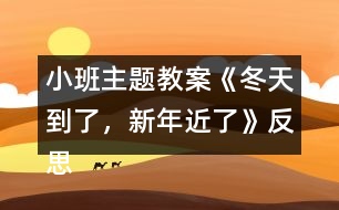 小班主題教案《冬天到了，新年近了》反思