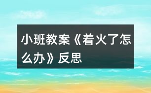 小班教案《著火了怎么辦》反思