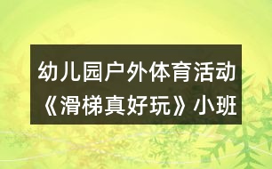 幼兒園戶外體育活動《滑梯真好玩》小班活動方案反思