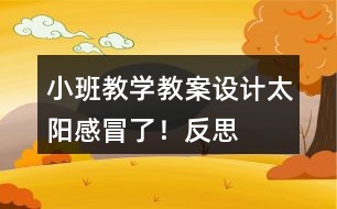 小班教學(xué)教案設(shè)計太陽感冒了！反思