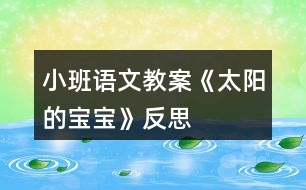 小班語文教案《太陽的寶寶》反思