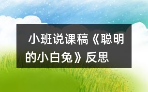  小班說(shuō)課稿《聰明的小白兔》反思