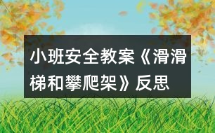 小班安全教案《滑滑梯和攀爬架》反思