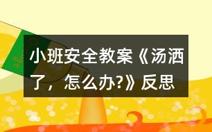 小班安全教案《湯灑了，怎么辦?》反思