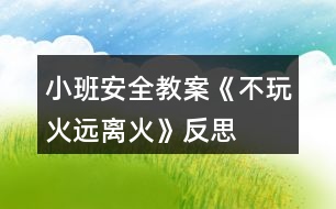 小班安全教案《不玩火遠(yuǎn)離火》反思