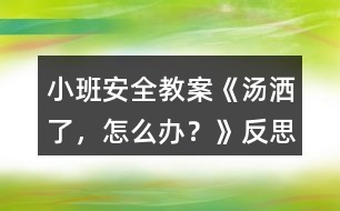 小班安全教案《湯灑了，怎么辦？》反思