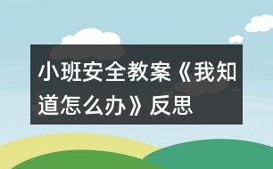 小班安全教案《我知道怎么辦》反思