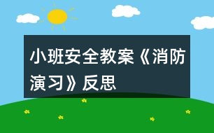 小班安全教案《消防演習》反思