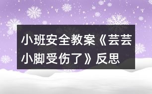 小班安全教案《蕓蕓小腳受傷了》反思