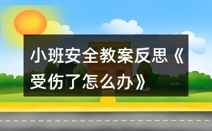 小班安全教案反思《受傷了怎么辦》