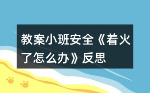 教案小班安全《著火了怎么辦》反思