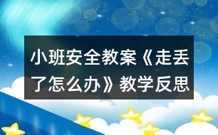 小班安全教案《走丟了怎么辦》教學(xué)反思