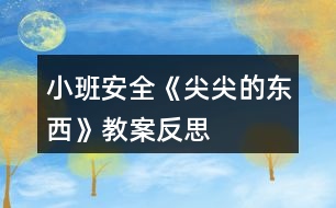 小班安全《尖尖的東西》教案反思