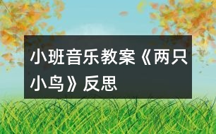 小班音樂(lè)教案《兩只小鳥(niǎo)》反思