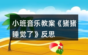 小班音樂教案《豬豬睡覺了》反思