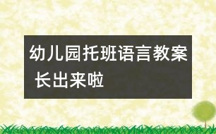 幼兒園托班語言教案： 長出來啦